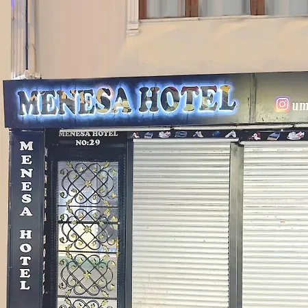 ホテル Menesa 3*