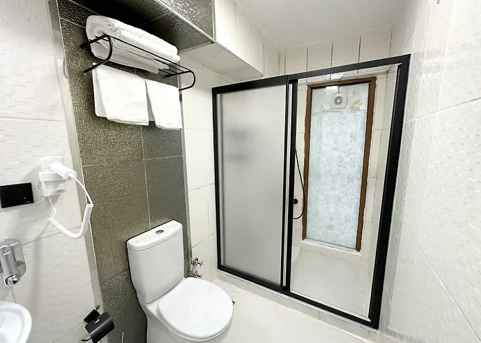 Menesa Hotell Istanbul